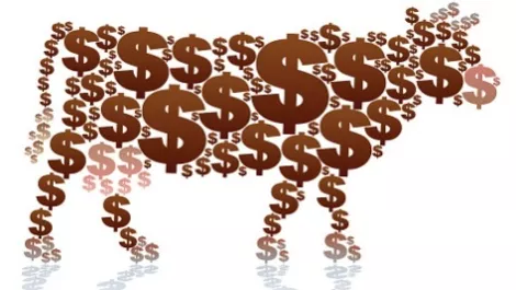 Dairy product prices drop as supply concern eases