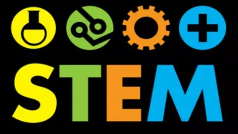 Stem