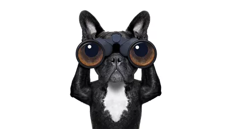 In plain sight: Avoiding loss of visibility and security in virtualised environments