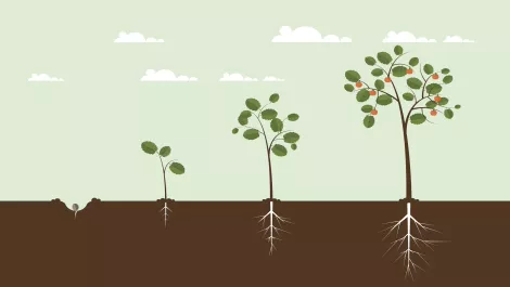 Room for MSSP usage growth in Australian companies