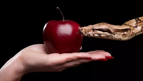 The 7 deadly sins of MSPs: Here's what not to do…