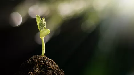 5 tips on moving from break-fix model to managed service provider