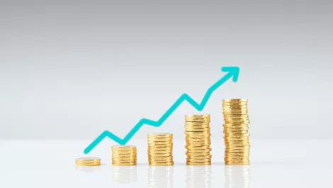 InternetNZ to up fees for .nz domains