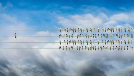 Cohesity named top vendor in unstructured data management.