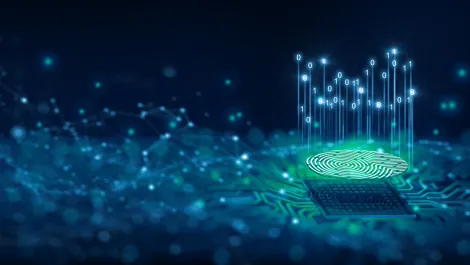 Identity Check online system pilot launched despite gaps over privacy, rights