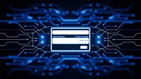 Virtualcard programs